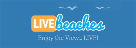 twiddy web cam|Live Beach Webcam